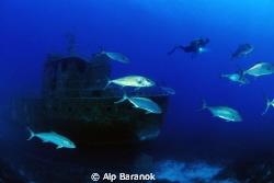 Pınar1 ship wreck and jacks from Bodrum / Turkey by Alp Baranok 